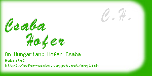 csaba hofer business card